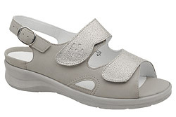 Popielaty || Szary || Srebrny